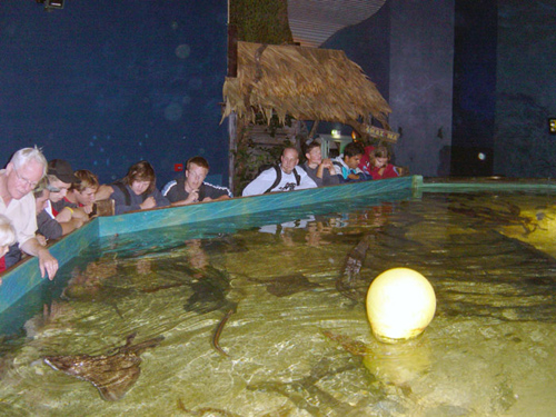 Aquarium